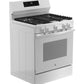 Ge Appliances GGF600AVWW Ge® 30