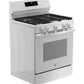 Ge Appliances GGF500PVWW Ge® 30