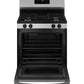 Ge Appliances GGF400PVSS Ge® 30