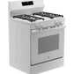 Ge Appliances GGF400PVWW Ge® 30