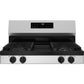 Ge Appliances GGF400PVSS Ge® 30