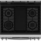 Ge Appliances GGS500SVSS Ge® 30