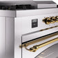 Ilve UP60FSNMPSSG Nostalgie Ii 60 Inch Dual Fuel Natural Gas Freestanding Range In Stainless Steel With Brass Trim