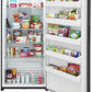 Frigidaire FRUF2020AN Frigidaire 20 Cu. Ft. Upright Freezer