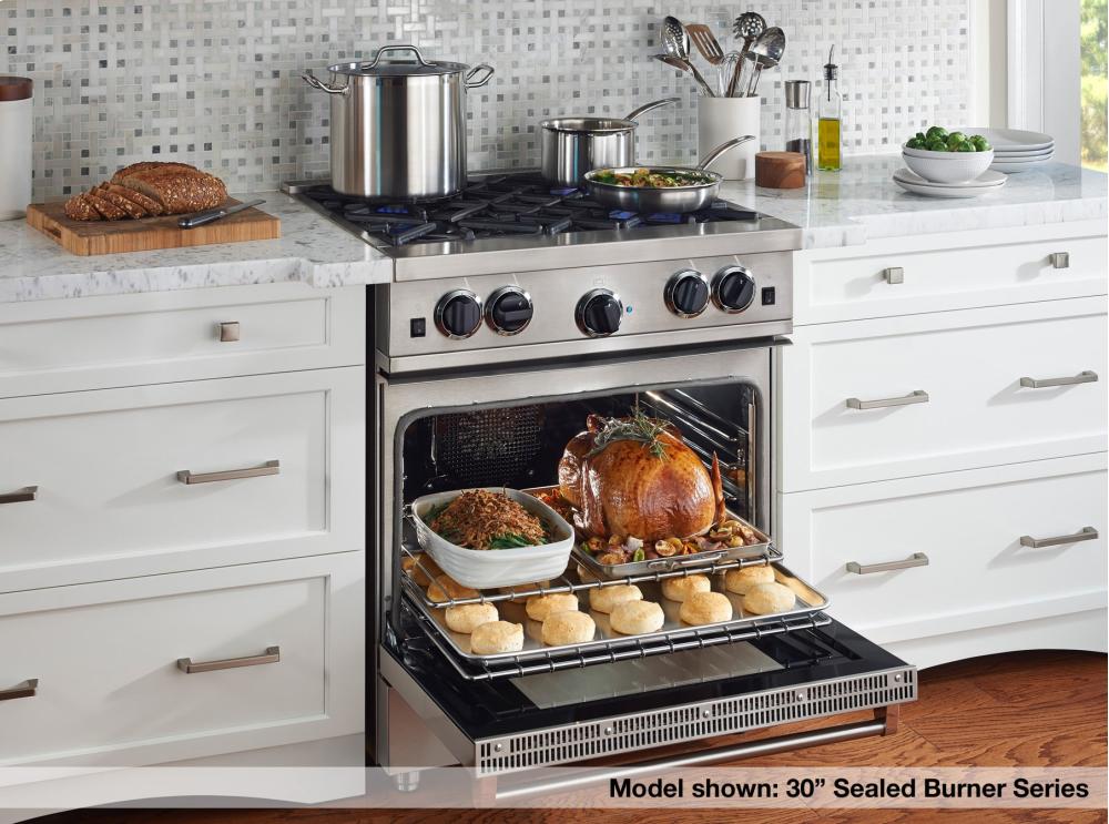 Bluestar RCS24SBV2 24" Culinary Series (Rcs) Sealed Burner Range